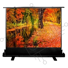 Экран Cactus 150x200см FloorExpert CS-PSFLE-200X150 4:3 напольный рулонный
