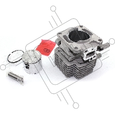 Поршневая группа для Hitachi CG27EAS 110121