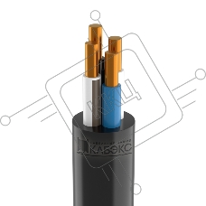 Кабель силовой Кабэкс ППГнг(А)-HF 4х10 ок(N)-0,66