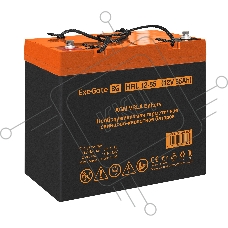 Комплект ИБП EX295997RUS + батарея 55Aч EX285652RUS 1шт (инвертор, синус, для котла, настенный) ExeGate FineSine SX-1000.LCD.AVR.2SH <1000VA/600W, чистая синусоида, цветной LCD-дисплей, AVR, 2*Schuko, линейно-интерактивный, крепление настенное/универсальн