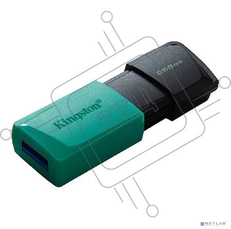 Флеш Диск Kingston 256Gb DataTraveler DTXM DTXM/256GB USB3.2 черный/зеленый