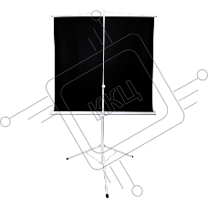 Экран 221x124.5см TriScreen 16:9 напольный рулонный белый  100' Matt White (MW)