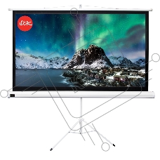 Экран 221x124.5см TriScreen 16:9 напольный рулонный белый  100' Matt White (MW), серый корпус