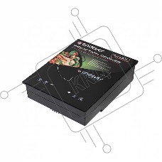 Индукционная плитка Endever Skyline IP-51