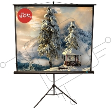 Экран 150x150см TriScreen 1:1 напольный рулонный белый  84' Matt White (MW), черный корпус