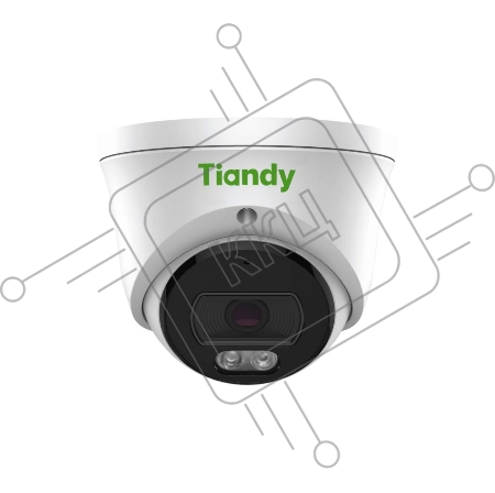 IP камера TIANDY 2MP DOME TC-C320N (I3/E/Y/2.8MM)