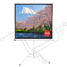 Экран Sakura 180x180см TriScreen 1:1 напольный рулонный белый  100' Matt White (MW), серый корпус