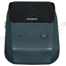 Термопринтер Niimbot B1 (1746795) 203dpi 50мм/с/USB/BT для печ.этик. серый