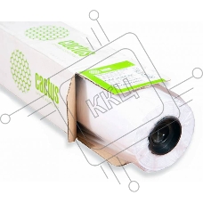 Бумага Cactus Eco CS-LFP80-410457E 410мм-45.7м/80г/м2/белый CIE155% (упак.:2рул)