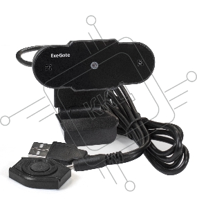 Веб-камера ExeGate EX287384RUS BlackView C310