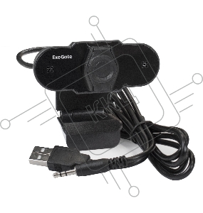 Веб-камера ExeGate EX287384RUS BlackView C310