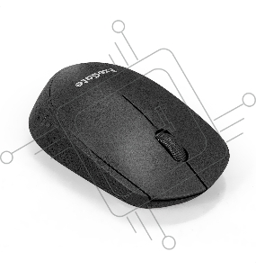 Беспроводная мышь ExeGate Professional Standard SR-9038 (радиоканал 2,4 ГГц, USB, оптическая, 1200dpi, 3 кнопки и колесо прокрутки, черная, Color Box)
