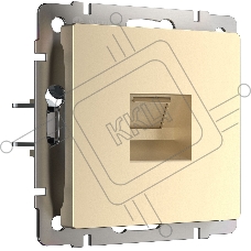Розетка Ethernet RJ-45 (шампань)
