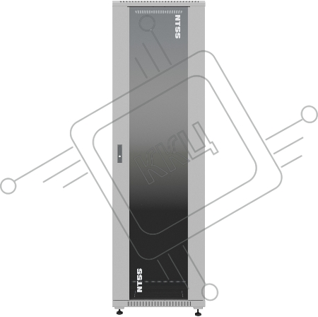 Шкаф серверный NTSS Премиум (NTSS-R42U6060GS) напольный 42U 600x600мм пер.дв.стекл металл 900кг серый IP20 сталь