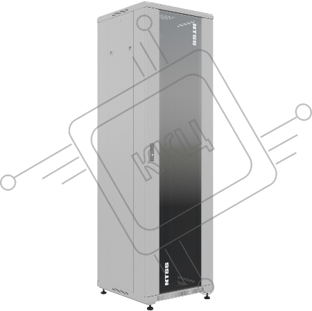 Шкаф серверный NTSS Премиум (NTSS-R42U6060GS) напольный 42U 600x600мм пер.дв.стекл металл 900кг серый IP20 сталь