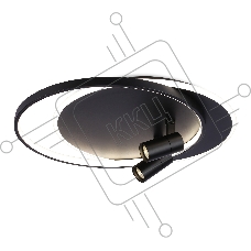 Светильник Ambrella light FL51393/1+2 BK черный 3000K-6400K 65W 560*480*120 (ПДУ РАДИО 2.4G)
