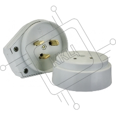 Разъем РШ-ВШ 32А 250В 2P+PE (ОУ) пластиковый бел. EKF PROxima AS-250-O-01 EKF
