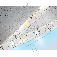 Светодиодная лента Ambrella light GS1903 5050 30Led/ 7.2W m/ 12V IP65 6500K/ 5000*10*2.87mm (2 конт.)