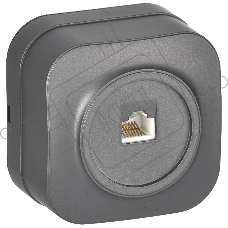 Розетка для открытой установки компьютерная RJ45 кат.5E РК10-ХСм сталь матовый GLORY