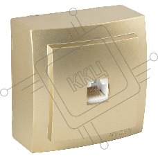 Nilson Роз. компьютерная 1-местн. СУ, (RJ45 CAT5), Темис (Themis), золото (26151044)