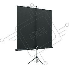 Экран на треноге Lumien 160x160см Eco View LEV-100105 1:1 напольный рулонный