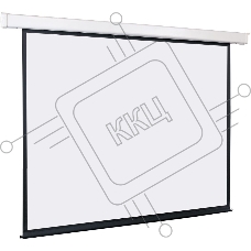 Экран с электроприводом Lumien Eco Control 229x305 см (раб. область 221х297 см) Matte White черная кайма по периметру 4:3