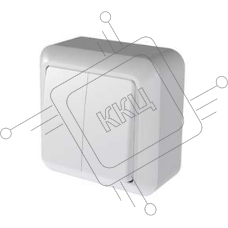 Выключатель 2-кл. ОП Оптима 10А IP20 А510-380 с монтажной пластиной бел. Кунцево 8003