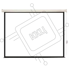 Экран с электроприводом Lumien Eco Control 125x200 см (раб. область 119х194 см) Matte White черная кайма по периметру 16:9