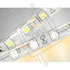 Светодиодная лента Ambrella light GS2101 5050 60Led/ 14.4W m/ 12V IP65 3000K/ 5000*10*2.87mm (2 конт.)
