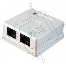 Розетка RJ45 5E кат. 2-port