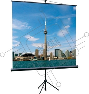 Экраны LUMIEN Lumien Экран на треноге 180x180 см Eco View LEV-100102 1:1 с возможностью настенного крепления