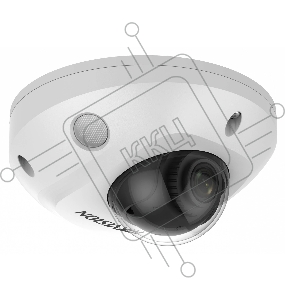 Видеокамера IP Hikvision DS-2CD2543G2-IS(2.8mm)