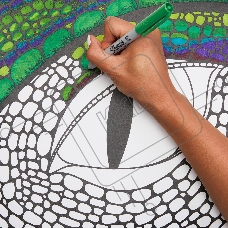 Патч-корд Lanmaster TWT-2LC-2LC/OM2-1.0 2x50/125 OM2 LC дуплекс-LC дуплекс 1м ПВХ оранжевый