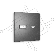 Лицевая панель ALFA (Антрацит серый) для розетки 2USB тип A+C QUANT AP6610