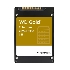Накопитель SSD жесткий диск PCIE 3.84TB U.2 GOLD WDS384T1D0D WDC