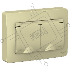 Розетка 2-м СП BLANCA 16А 250В с защ. крышкой защ. шторки с заземл. IP44 беж. SchE BLNRS441127