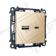 Комплект механизма розетки ALFA Шампань 2USB A+C 20W (быстрая зарядка) QUANT (AP6110, VM177) MA611010
