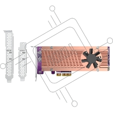 Плата расширения QNAP QM2-2P-244A Dual M.2 22110/2280 SATA SSD expansion card (PCIe Gen2 x2), Low-profile bracket pre-loaded, Low-profile flat and Full-height are bundled (shorter version to support TVS-x82/TS-x77 PCIe slot 2 & slot 3)