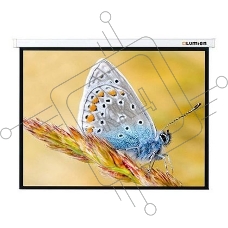 Экран с электроприводом Lumien Master Control 229x305 см (146