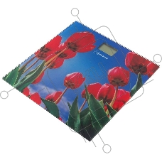 Весы напольные электронные Homestar HS-6001I (стеклянная поверхность, 180 кг)