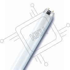 Лампа люминесцентная L 30W/765 30Вт T8 6500К G13 OSRAM 4008321959706