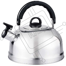 Чайник Casual 004260 из нерж стали со свистком, зерк полировка, литраж - 2,7 л, без тм