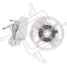 Лента светодиодная GLS-2835-120-9.6-12-IP20-PRO-4-3-KIT готовый комплект 3м с адаптером