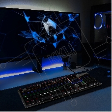 Клавиатура Oklick 970G DARK KNIGHT механическая черный USB Gamer LED