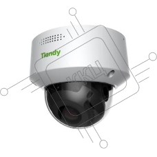 IP камера 2MP DOME TC-C32MN I3/A/E/Y/M/V4 TIANDY