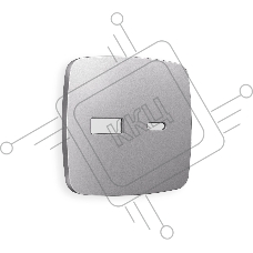 Лицевая панель OMEGA (Сталь матовый) для розетки 2USB тип A+C QUANT OP5110