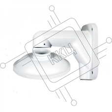 Кронштейн Tiandy A25