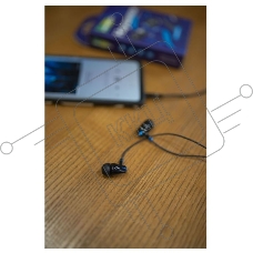 Наушники вакуумные AUX разъем с МК без рег.громкости длина 1.1м More Choice G26 (Blue)