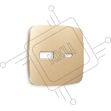 Лицевая панель OMEGA (Шампань) для розетки 2USB тип A+C QUANT OP6110