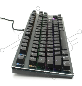 Клавиатура механ Gembird KB-G540L, USB, черн, переключатели Outemu Blue, 87 клавиши, подсветка Rainbow 9 режимов, FN, кабель тканевый 1.8м
